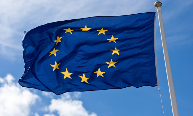 EU asylum approvals up in 2024