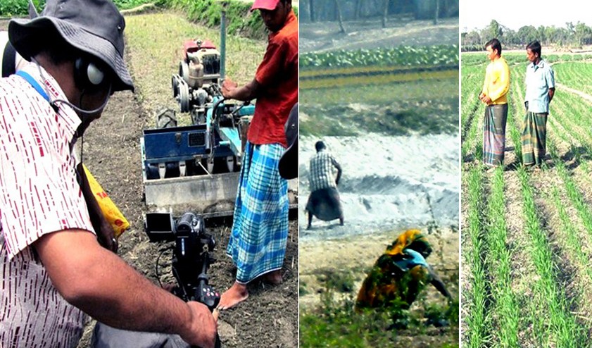 Innovation, cultivation of stress-tolerant crops crucial for food security: experts