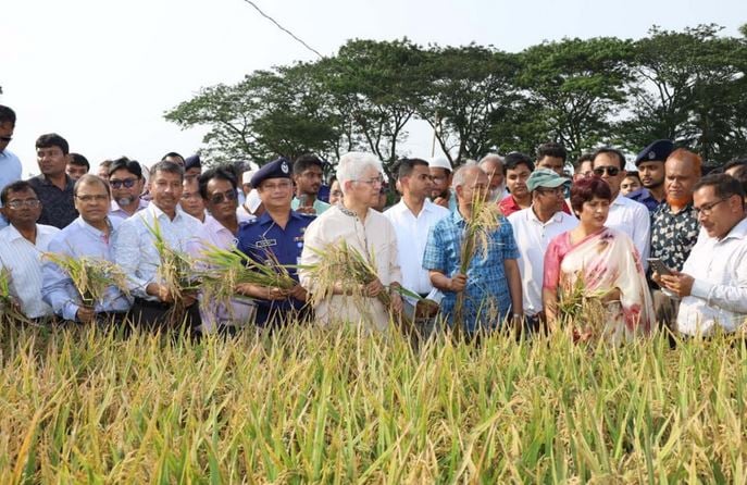 Boro yield satisfactory: Jahangir 
