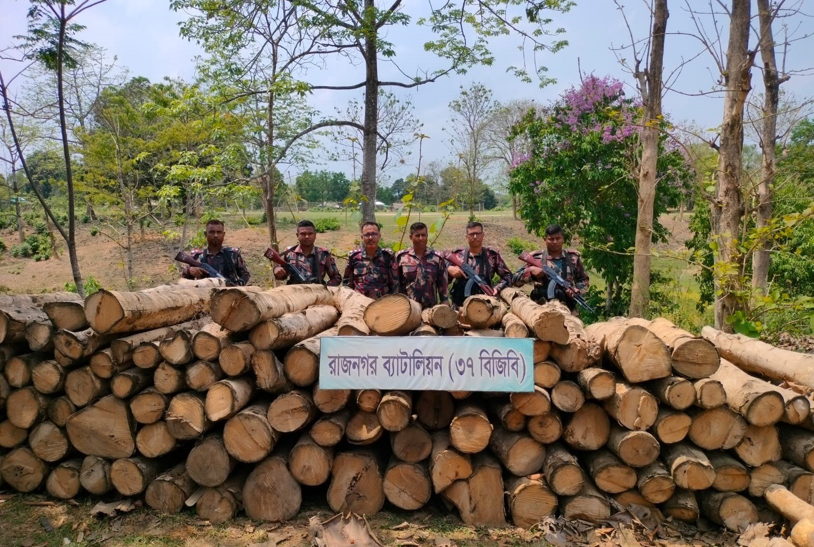 BGB seizes huge illegal timber in Rangamati