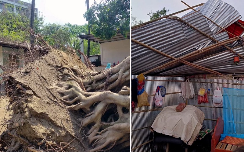 Nor'westrs lash Rangpur, uproot trees