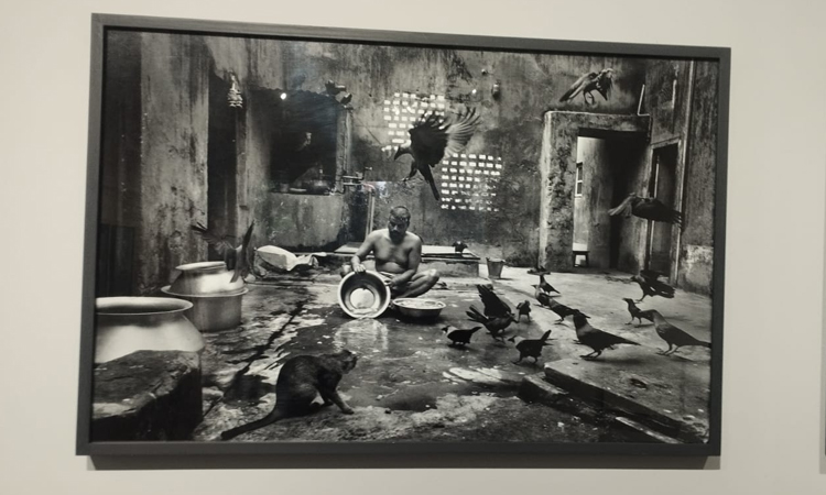 Photo taken from Munem Wasif's solo visual art exhibition titled 'Gradually'. BSS