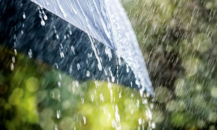 Rain, thundershowers likely in parts of country