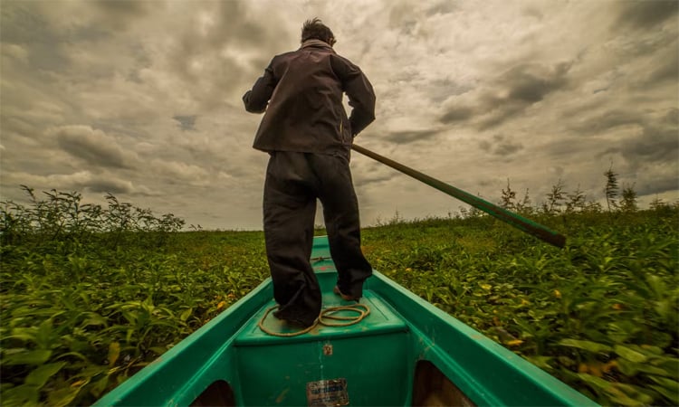 Cambodia approves cement factory in wildlife sanctuary
