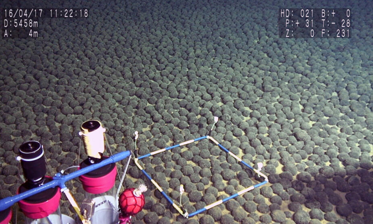Canadian firm makes first bid for international seabed mining license