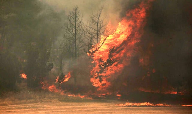 Israel's Netanyahu warns wildfires could reach Jerusalem