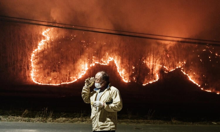Climate change made fire conditions twice as likely in South Korea blazes: study