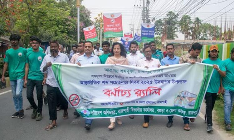 Health experts call for united efforts against sound pollution