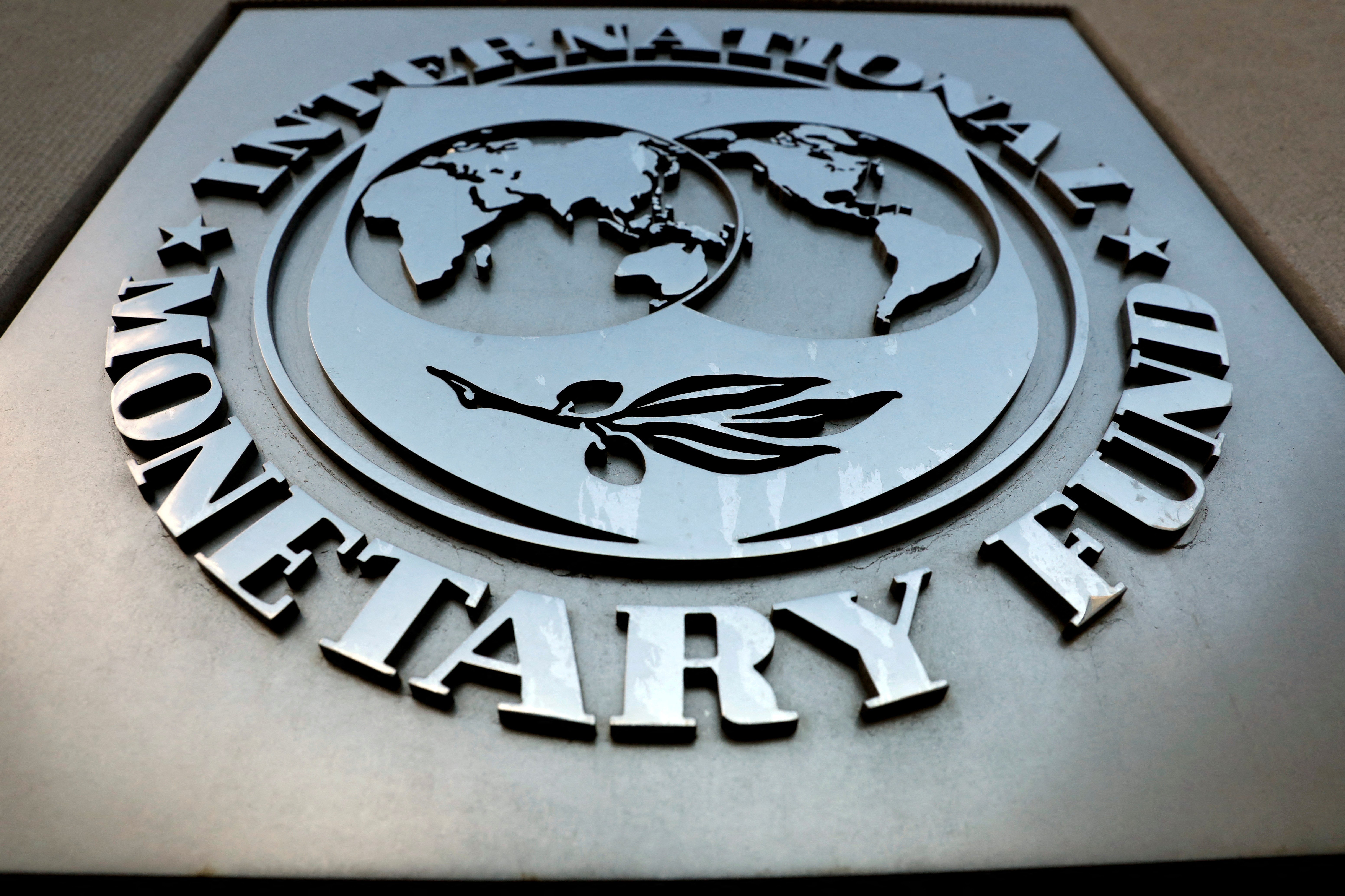 Slower growth expected in Middle East, North Africa in 2025: IMF