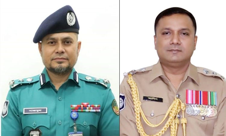Dr Nazmul president, Anisuzzaman general secy of BPSA