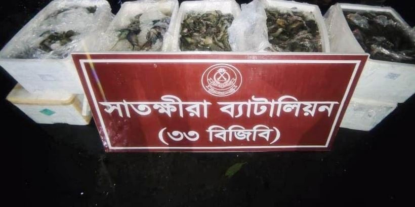300kg gel-injected shrimp seized in Satkhira