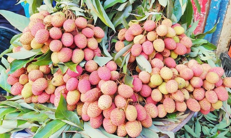 Badamtoli fruit market bustling with seasonal fruits