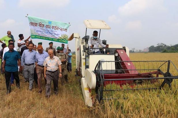 BAU to supply 200 tonnes of paddy seed across country