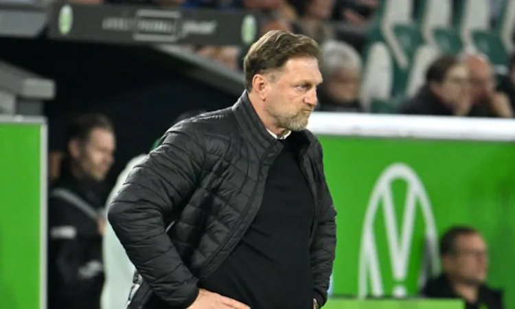 Wolfsburg sack Hasenhuettl after Dortmund thumping