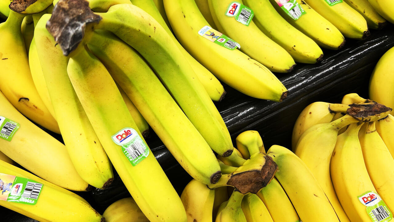Fruit company staff find cocaine in Norway banana boxes