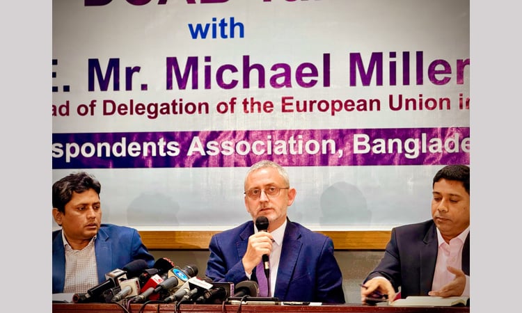 Election timing a domestic issue, key reforms required: EU envoy