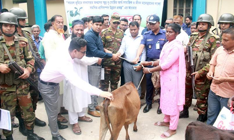 Govt distributes 70 cows among small ethnic groups in Dinajpur 