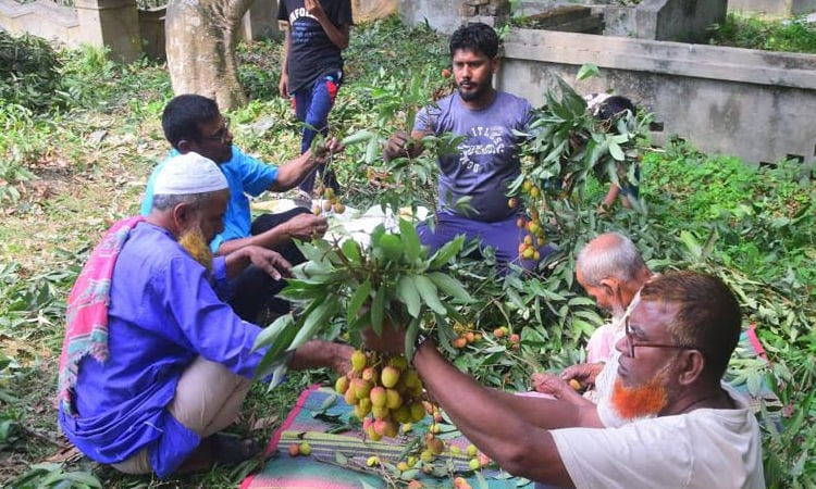 Litchi starts appearing in Rajshahi markets