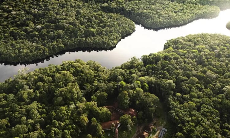 COP30 can be a turning point in climate fight, says president