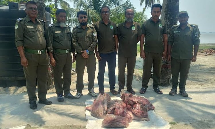 42-kg venison seized in Sundarbans