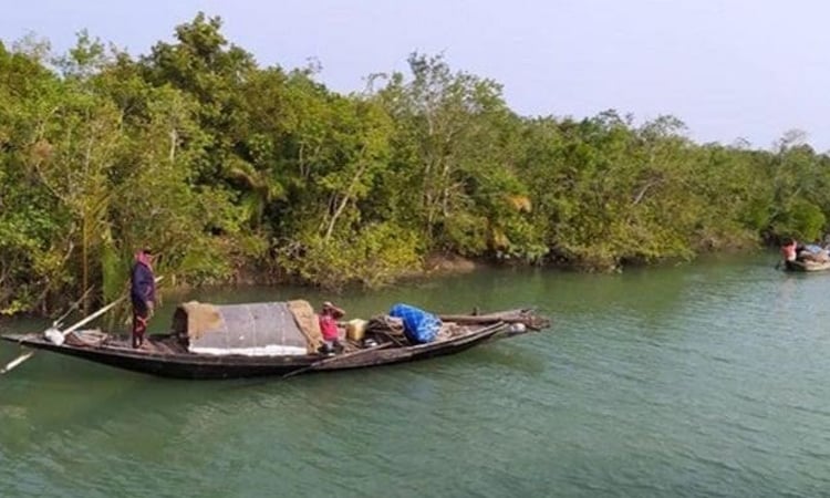 Digital ID cards for Sundarbans resource collectors by June