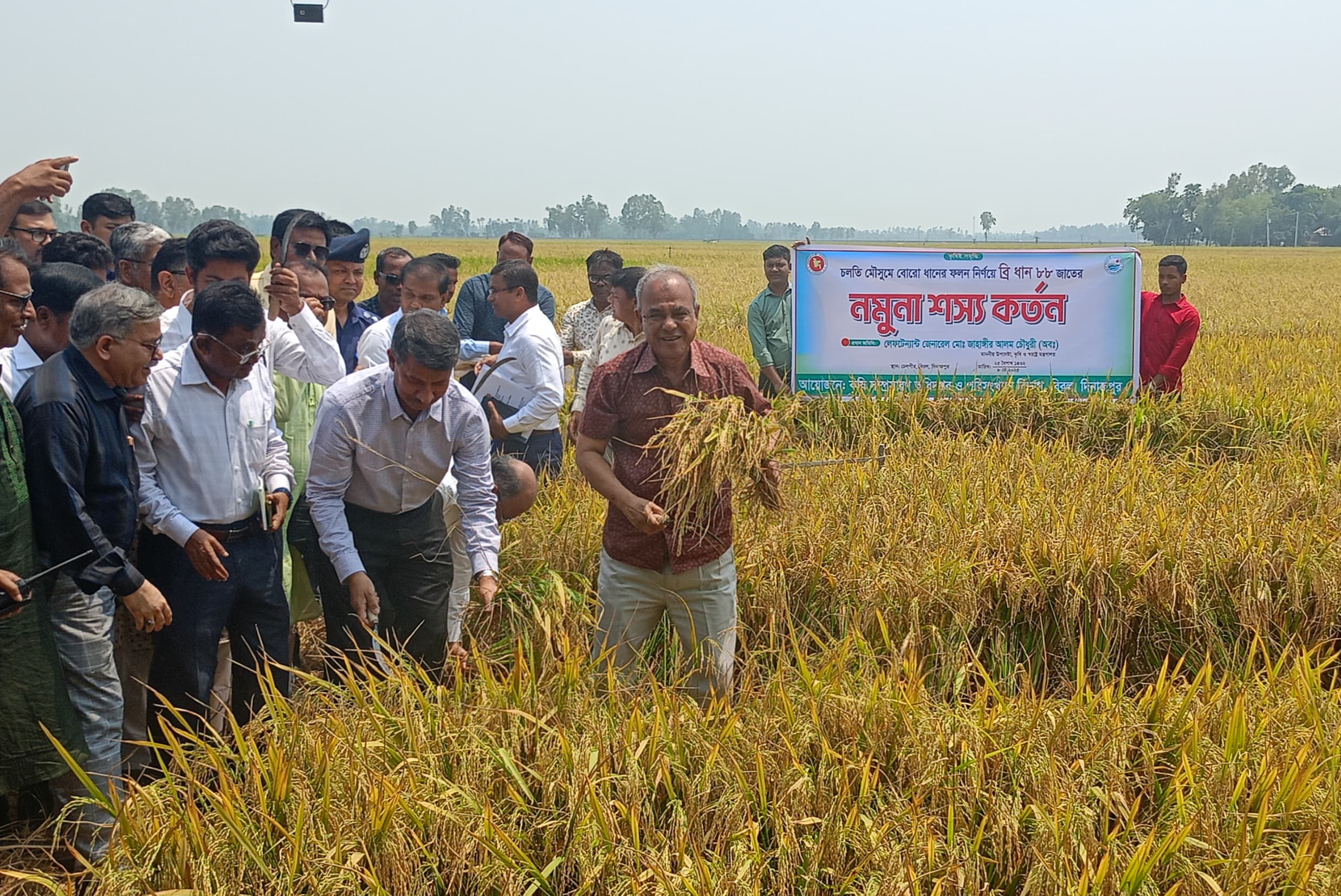 Jahangir inaugurates boro paddy harvesting in Dinajpur