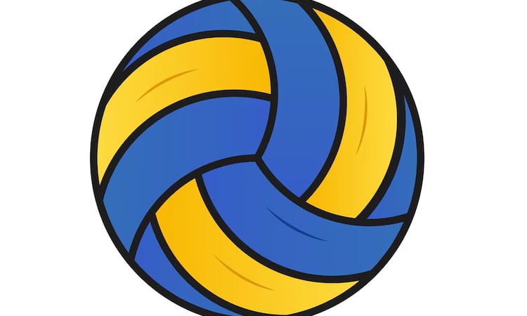 Final round of Inter-District Volleyball to begin May 17