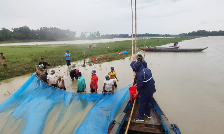 BFRI identifies new carp breeding ground in Kaptai Lake