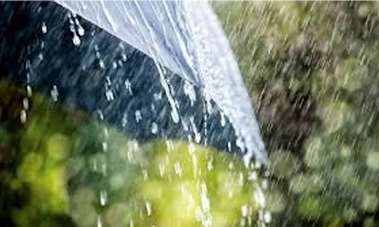 Rain, thundershowers likely in parts of country