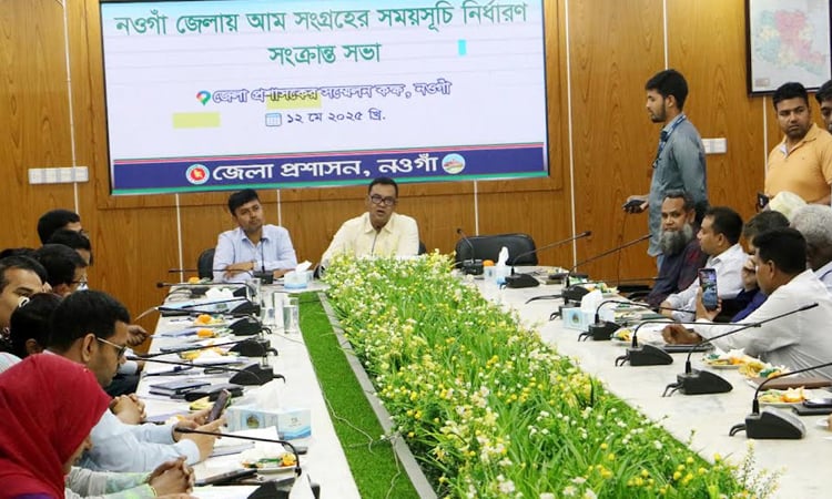 Mango harvesting in Naogaon to begin on May 22, sales may exceed over Tk 3500cr    