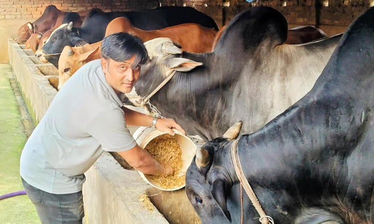 Youth with foreign degrees finds success in fish, cattle farming 