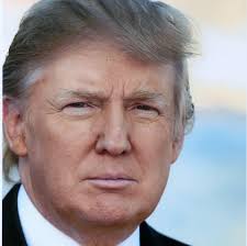 Trump says 'thinking' of flying to Turkey for Ukraine-Russia talks