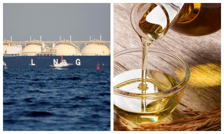 Govt to procure 1 cargo LNG, 1.10cr liters rice bran oil