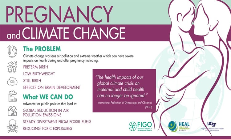Climate change increasing risk of pregnancy problems: study
