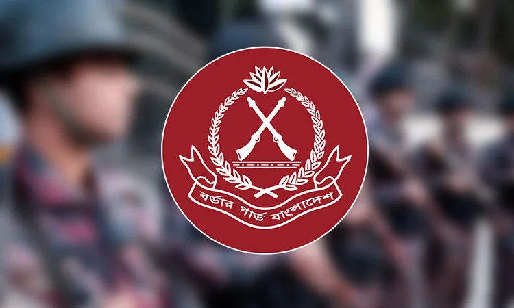 BGB recovers pistol, ammunition from Matiranga border