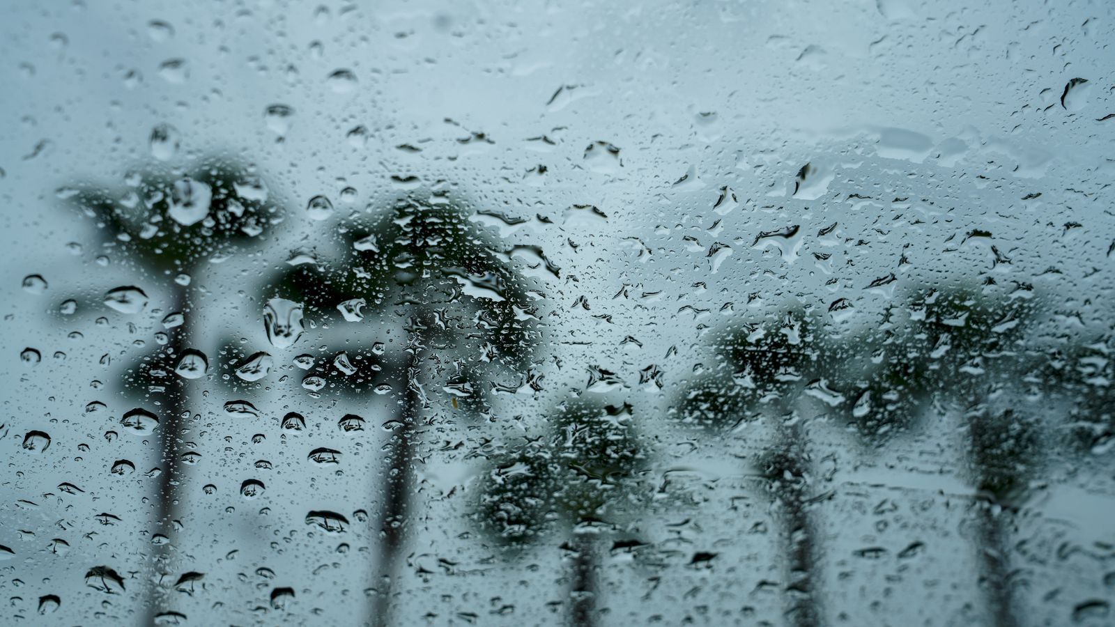 Bogura records season's highest rainfall