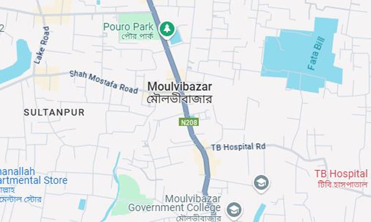 Tea Labourers Day observed in Moulvibazar