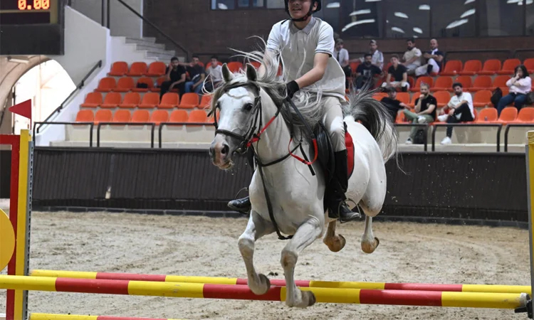 Syrians chase equestrian glory in sport once dominated by Assads
