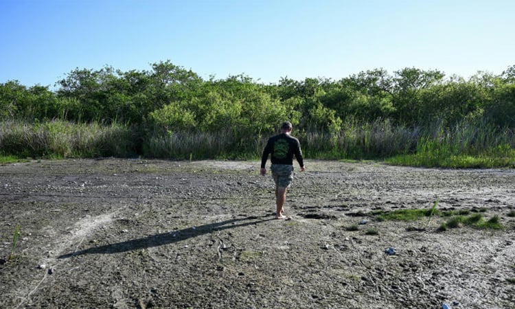 Severe drought strains wildlife and tourism in Florida's Everglades