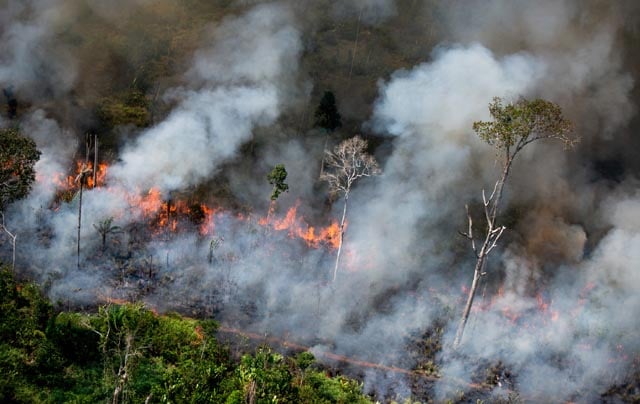 'Red alert': Fires drive tropical forest loss to record high
