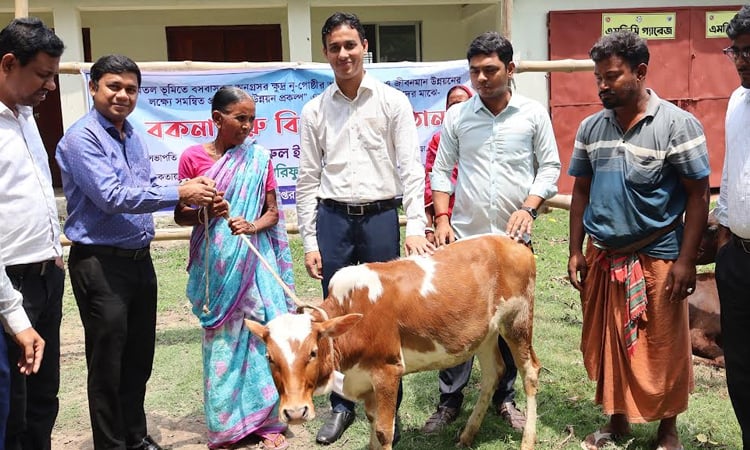 Govt distributes 39 cows among small ethnic groups in Natore 