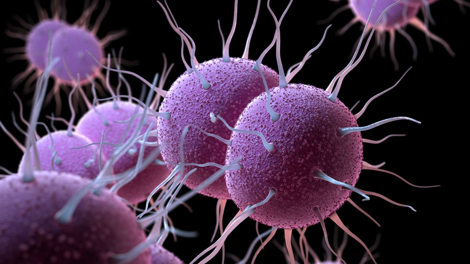 England to launch 'world first' gonorrhoea vaccination programme     