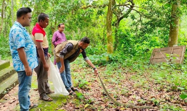 Burmese python rescued in Sherpur