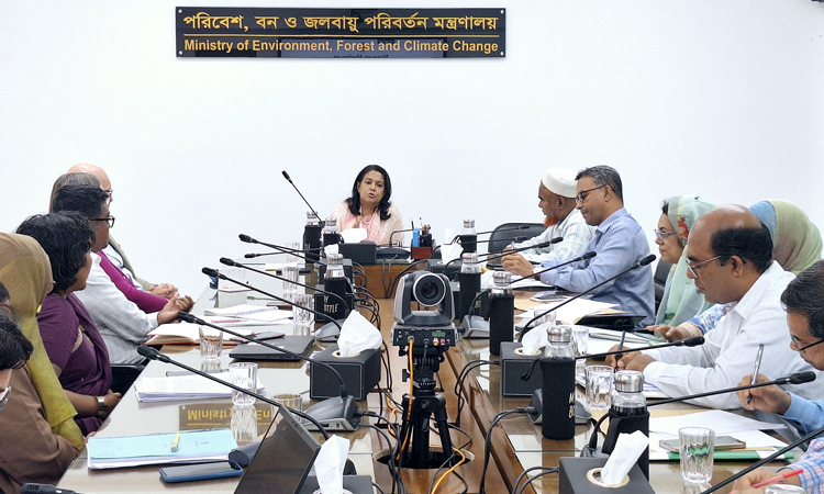 103,960 hectares forest restored by SUFAL project: Rizwana 