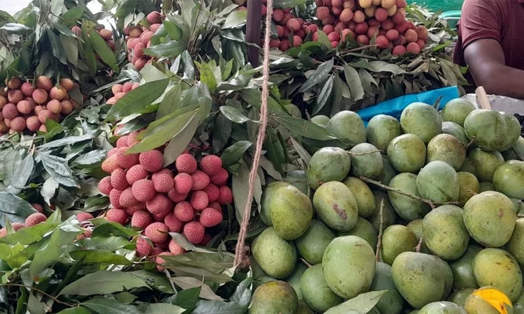 Old Dhaka markets overflow with juicy summer fruits