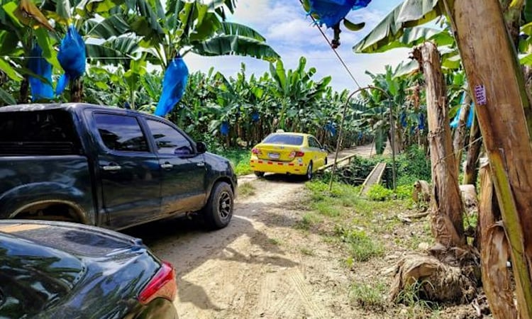 'State of emergency' in Panama after strike leads to layoffs