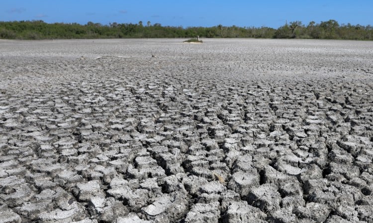 UN says 70% chance that 2025-2029 average warming will top 1.5C