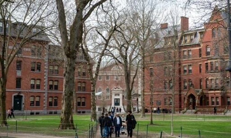 US suspends student visa processing as Harvard protests cuts