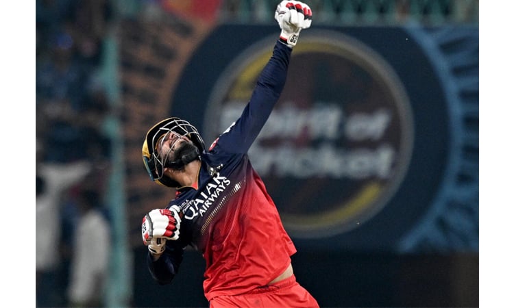 Jitesh, Kohli power Bengaluru into IPL qualifier 1