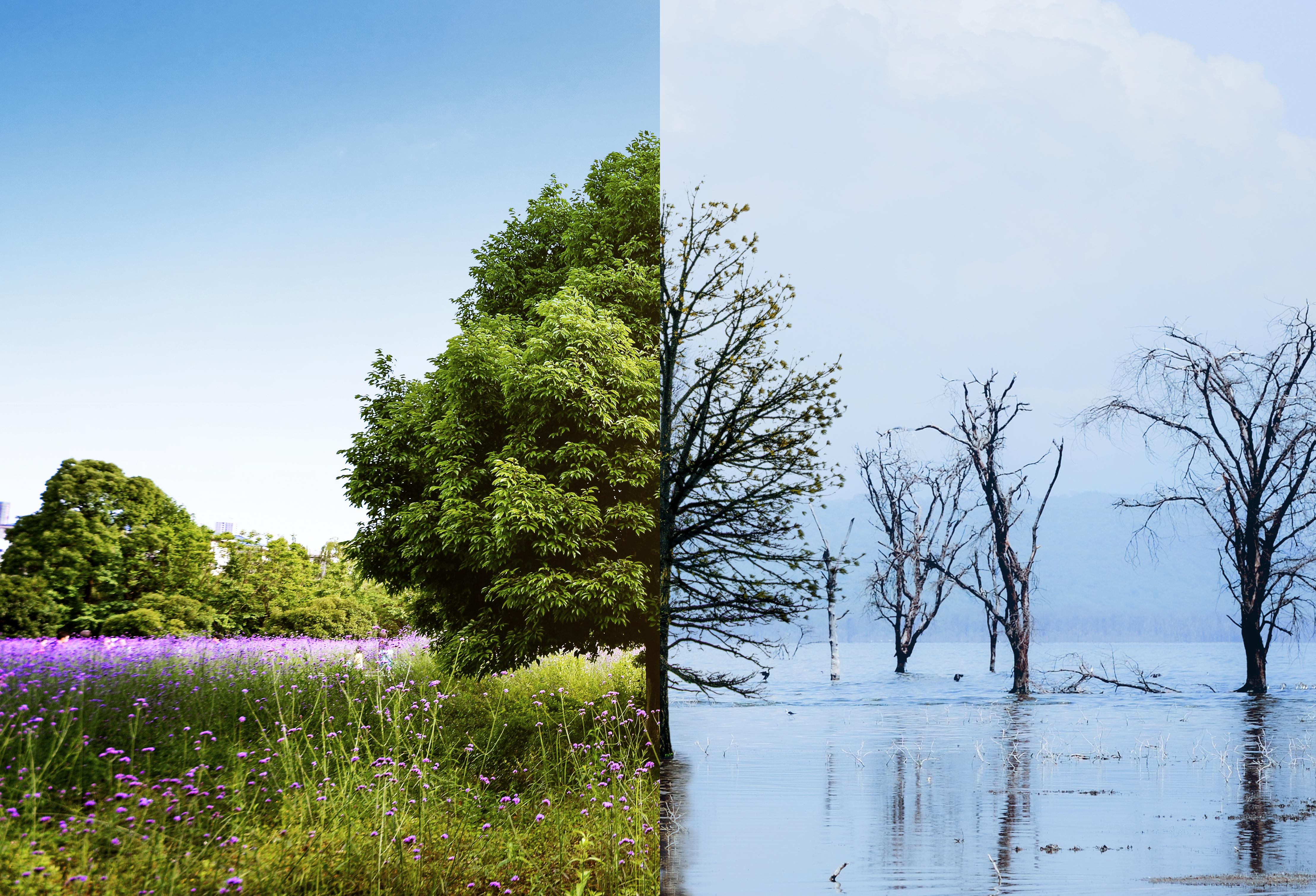 Development partners’ continued support crucial to combat climate change fallout